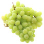 RAISIN BLANC SEEDLESS 2KG